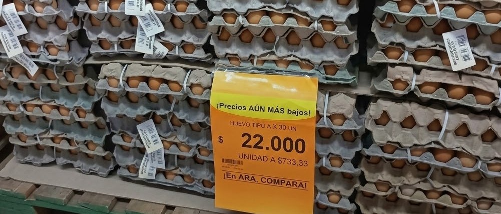 Precio del panal de 30 huevos alcanza entre 22 mil y 23 mil pesos en supermercados y tiendas mientras inflación de alimentos llega a 6,74 por ciento